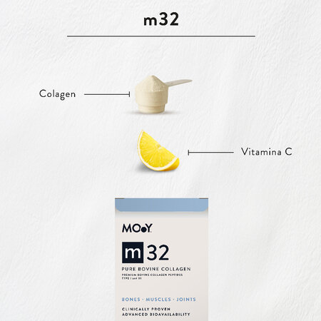 Colagen bovin pur cu vitamina C m32, 303 g, Molecules Of Youth 606609