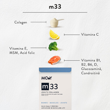 Colagen bovin articulatii, aroma zmeura m33, 390 g, Molecules Of Youth 606617