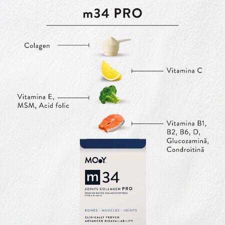 Colagen PRO bovin articulatii, aroma capsuni, lamaie si menta m34, 390 g, Molecules of Youth 606625