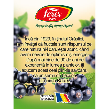 Ceai cu 50% coacaze, 20 plicuri, Fares 604316