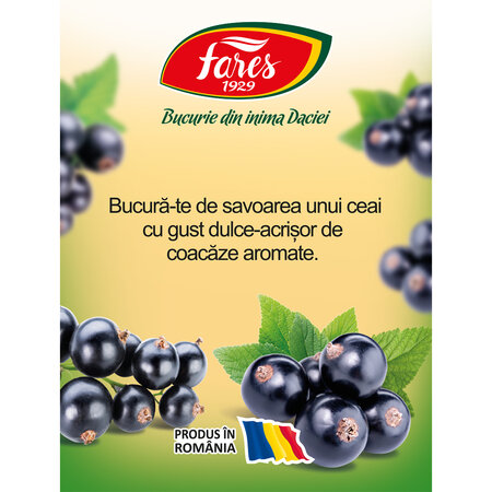 Ceai cu 50% coacaze, 20 plicuri, Fares 604315