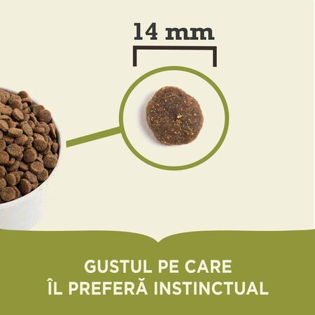 Hrana uscata cu miel si mere pentru caini, 2 Kg, Acana 605210