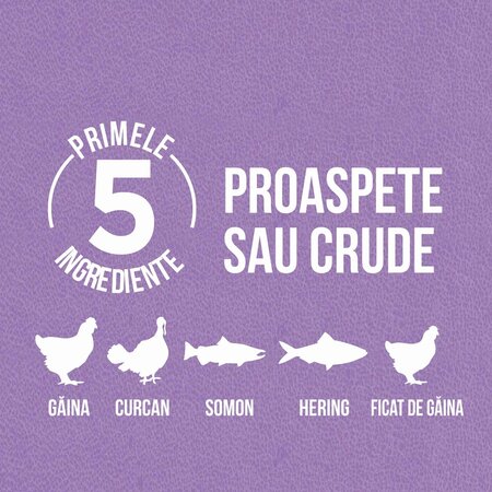 Hrana uscata pentru pisici Kitten, 1.8 Kg, Orijen 605258
