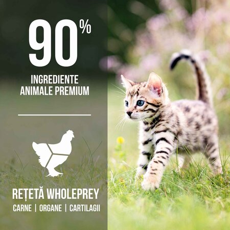 Hrana uscata pentru pisici Kitten, 1.8 Kg, Orijen 605257