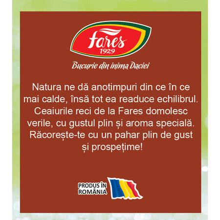 Ceai rece cu frunze de cafea-ceai, 12 plicuri, Fares 620935