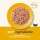 Hrana umeda pentru pisici pana la 12 luni cu piept de pui Kitten, 70 g, Applaws 605756