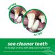 Gel dentar fara periaj pentru caini Fresh Breath, 118 ml, Tropiclean 605818