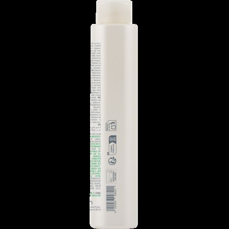 Sampon regenerant anti-cadere Actyva P Factor, 250 ml, Kemon 659895