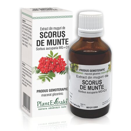 Extract din muguri de Scorus, 50 ml, Plant Extrakt