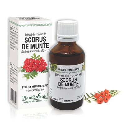 Extract din muguri de Scorus, 50 ml, Plant Extrakt 738197