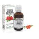Extract din muguri de Scorus, 50 ml, Plant Extrakt 738197
