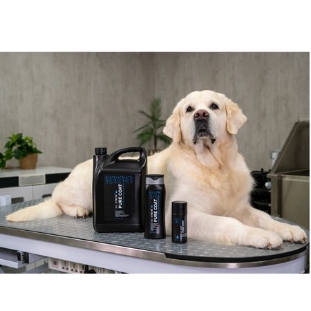 Sampon degresant pentru caini si pisici Pure Coat, 300 ml, Show Tech+ 609033