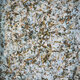 Sare de mare cu usturoi, 100 g, Maldon 609069