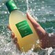 Sampon pentru scalp cu rozmarin, 400 ml, Aromatica 609428