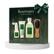 Kit pentru scalp cu rozmarin, Aromatica 609461