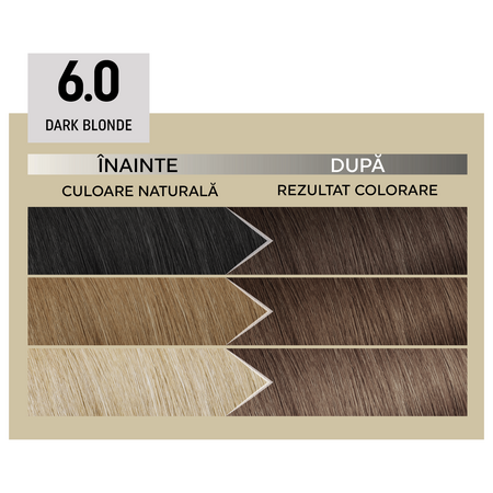 Vopsea de par permanenta 6.0 Dark Blonde Il Salone Plex Rebuilder, Alfaparf 609672