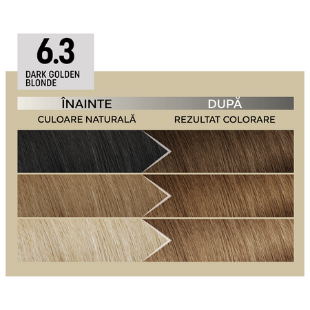 Vopsea de par permanenta 6.3 Dark Golden Blonde Il Salone Plex Rebuilder, Alfaparf 609677