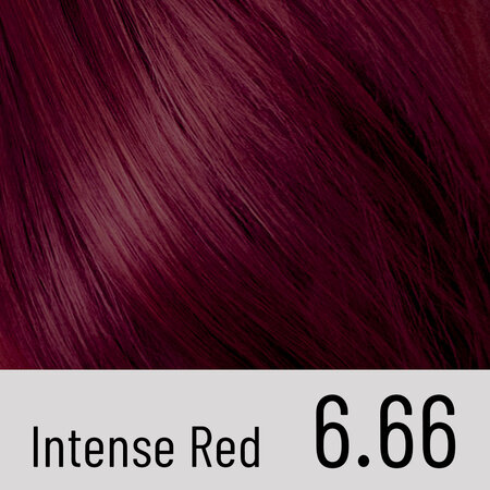Vopsea de par permanenta 6.66 Intense Red Il Salone Plex Rebuilder, Alfaparf 609681