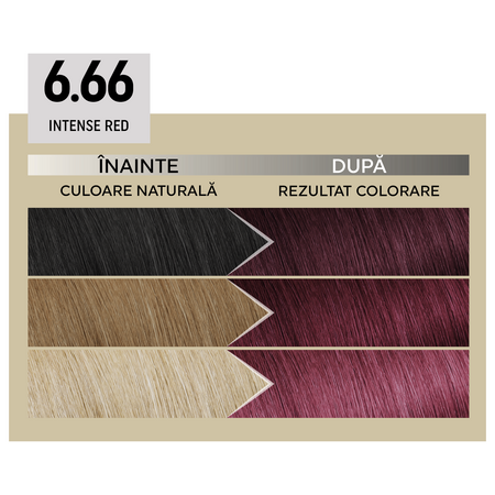 Vopsea de par permanenta 6.66 Intense Red Il Salone Plex Rebuilder, Alfaparf 609682