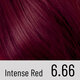 Vopsea de par permanenta 6.66 Intense Red Il Salone Plex Rebuilder, Alfaparf 609681