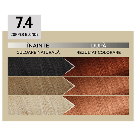 Vopsea de par permanenta 7.4 Copper Blonde Il Salone Plex Rebuilder, Alfaparf 609697