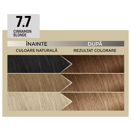 Vopsea de par permanenta 7.7 Cinnamon Blonde Il Salone Plex Rebuilder, Alfaparf 609706