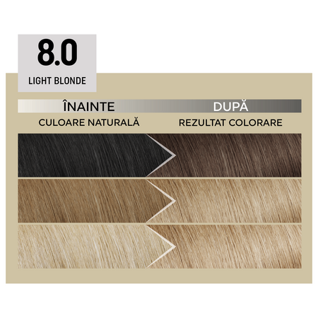Vopsea de par permanenta 8.0 Light Blonde Il Salone Plex Rebuilder, Alfaparf 609709