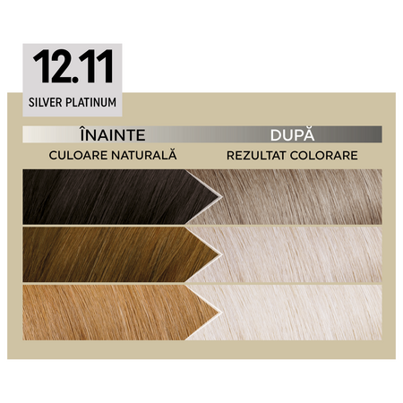 Vopsea de par permanenta 12.11 Silver Platinum Il Salone Plex Rebuilder, Alfaparf 609737