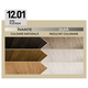 Vopsea de par permanenta 12.01 Iced Platinum Il Salone Plex Rebuilder, Alfaparf 609743