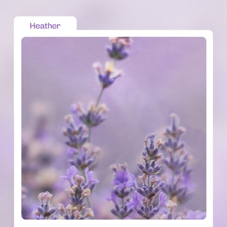 Esenta pentru fata Heather Calming Essence, 50 ml, manyo 609923