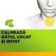 Strepimuno cu miere, catina si propolis, 24 pastile de supt, Reckitt Benckiser 633889