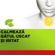 Strepimuno cu cirese, menta si coacaze, 24 pastile de supt, Reckitt Benckiser 633881