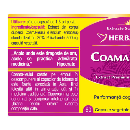 Coama Leului, 60 capsule, Herbagetica 688768