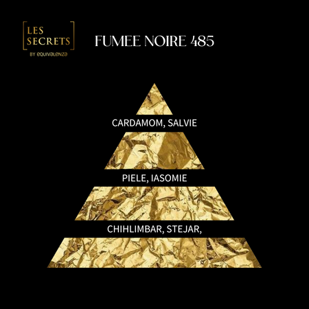 Apa de parfum unisex Fumee Noire 485 Les Secrets, 50 ml, Equivalenza 615060