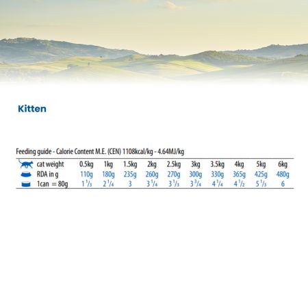 Hrana umeda cu ton, cod, creveti si dovleac pentru pisici N&D Ocean Kitten, 70 g, Farmina 700174
