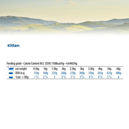 Hrana umeda cu ton, cod, creveti si dovleac pentru pisici N&D Ocean Kitten, 70 g, Farmina 700174