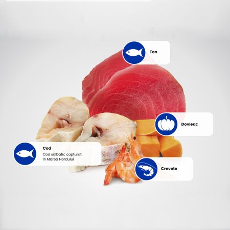 Hrana umeda cu ton, cod, creveti si dovleac pentru pisici N&D Ocean Kitten, 70 g, Farmina 700173