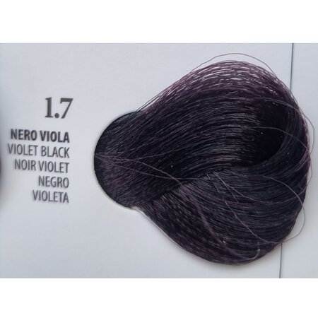 Vopsea permanenta rapida 10 minute 1.7 Violet Black, 100 ml, Xhensil 617329