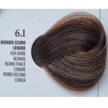 Vopsea permanenta rapida 10 minute 6.1 Ash Dark Blonde, 100 ml, Xhensil 617488