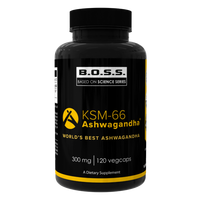 Ashwagandha KSM-66, 120 capsule, Vitabolic