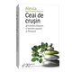 Ceai de crusin, 20 plicuri, Alevia 618940