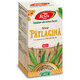 Patlagina sirop cu miere si propolis, R11, 100 ml, Fares 620777