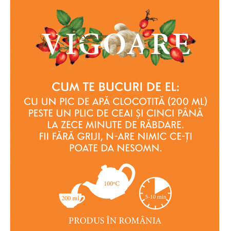 Ceai natural macese si ghimbir Vigoare, 20 plicuri, Fares 702928