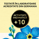 Miere poliflora, 400 g, Albina Carpatina 621647