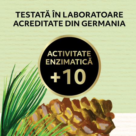 Miere de padure, 400 g, Albina Carpatina 621674