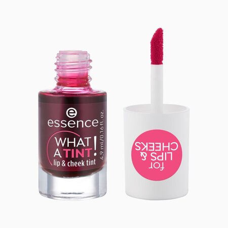 Ruj si fard de orbraz, Tint 01 What a Tint!, 4.9 ml, Essence 621905
