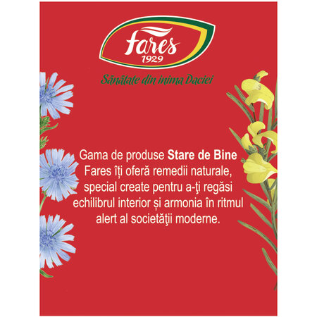 Ceai Energie, 20 plicuri, Fares 623563