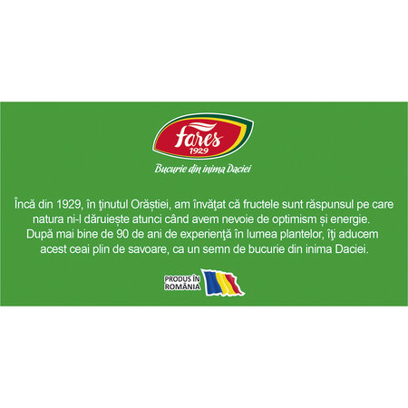 Ceai cu ghimbir si lamai verzi, Aromafruct, 100 plicuri, Fares 624055