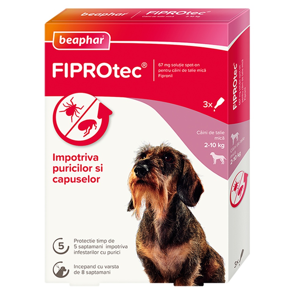 Picaturi antiparazitare pentru caini intre 2-10 kg Fiprotec, 3 pipete, Beaphar