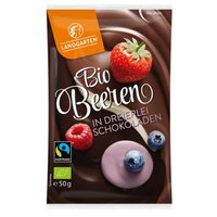 Fructe de padure in mix de ciocolata, 50 g, Landgarten